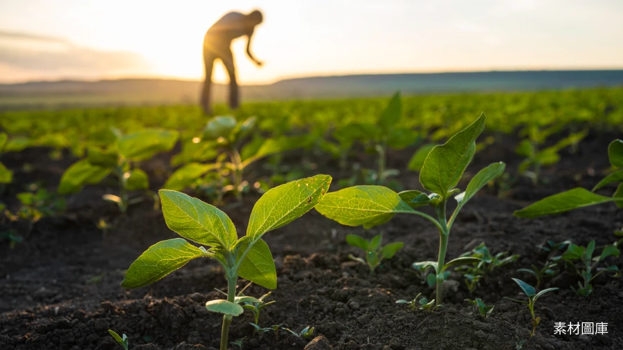 瀚宇博德股份有限公司